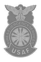 USAF - FES (silver center).jpg
